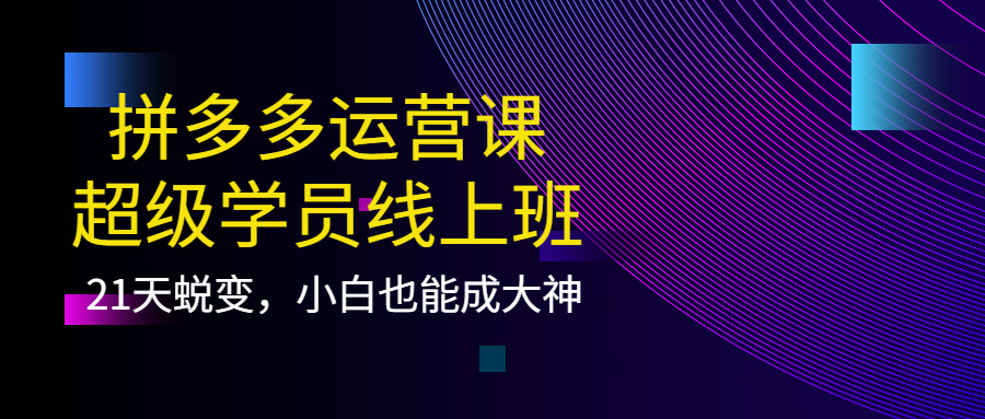拼多多运营课：超级学员线上班，21天蜕变，小白也能成大神云创网-网创项目资源站-副业项目-创业项目-搞钱项目云创网