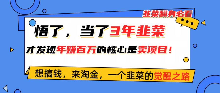 悟了，当了3年韭菜，才发现网赚圈年赚100万的核心是卖项目，含泪分享！云创网-网创项目资源站-副业项目-创业项目-搞钱项目云创网