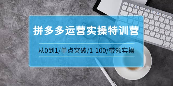 拼多多运营实操特训营：从0到1/单点突破/1-100/带领实操 价值2980元云创网-网创项目资源站-副业项目-创业项目-搞钱项目云创网