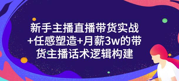 新手主播直播带货实战+信任感塑造+月薪3w的带货主播话术逻辑构建云创网-网创项目资源站-副业项目-创业项目-搞钱项目云创网