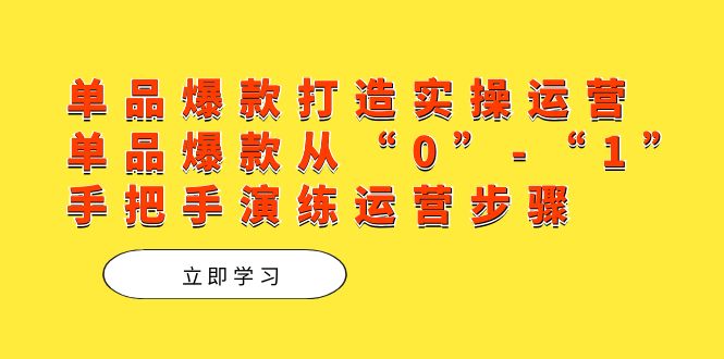 单品爆款打造实操运营，单品爆款从“0”-“1”手把手演练运营步骤云创网-网创项目资源站-副业项目-创业项目-搞钱项目云创网