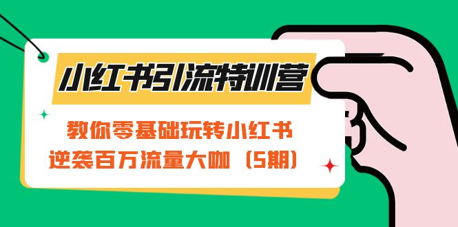 小红书引流特训营-第5期：教你零基础玩转小红书，逆袭百万流量大咖云创网-网创项目资源站-副业项目-创业项目-搞钱项目云创网