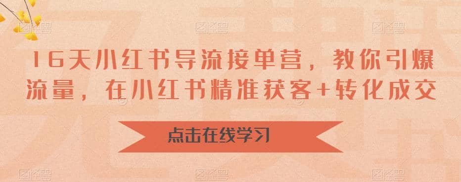 16天-小红书 导流接单营，教你引爆流量，在小红书精准获客+转化成交云创网-网创项目资源站-副业项目-创业项目-搞钱项目云创网