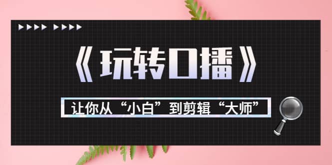 月营业额700万+大佬教您《玩转口播》让你从“小白”到剪辑“大师”云创网-网创项目资源站-副业项目-创业项目-搞钱项目云创网