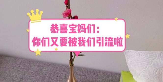 恭喜宝妈们：你们又要被我们引流了（教程+222g资料）云创网-网创项目资源站-副业项目-创业项目-搞钱项目云创网