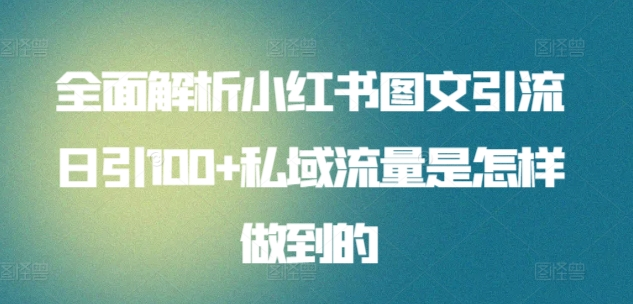 全面解析小红书图文引流日引100私域流量是怎样做到的云创网-网创项目资源站-副业项目-创业项目-搞钱项目云创网