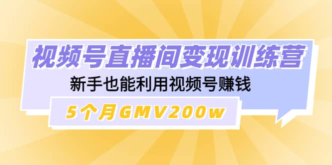 视频号直播间变现训练营云创网-网创项目资源站-副业项目-创业项目-搞钱项目云创网
