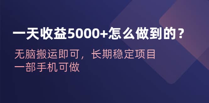 一天收益5000+怎么做到的？无脑搬运即可，长期稳定项目，一部手机可做云创网-网创项目资源站-副业项目-创业项目-搞钱项目云创网