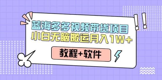 人人都能操作的蓝海多多视频带货项目 小白无脑搬运（教程+软件）云创网-网创项目资源站-副业项目-创业项目-搞钱项目云创网