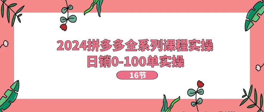 2024拼多多全系列课程实操，日销0-100单实操【16节课】云创网-网创项目资源站-副业项目-创业项目-搞钱项目云创网
