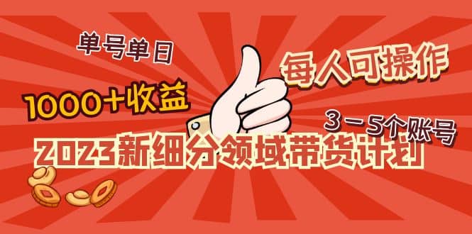 2023新细分领域带货计划：单号单日1000+收益不难，每人可操作3-5个账号云创网-网创项目资源站-副业项目-创业项目-搞钱项目云创网