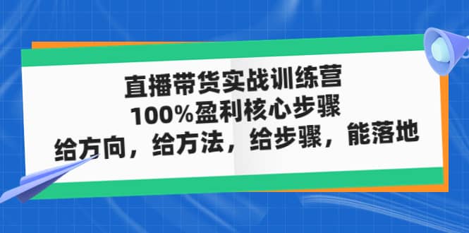 直播带货实战训练营：100%盈利核心步骤，给方向，给方法，给步骤，能落地云创网-网创项目资源站-副业项目-创业项目-搞钱项目云创网
