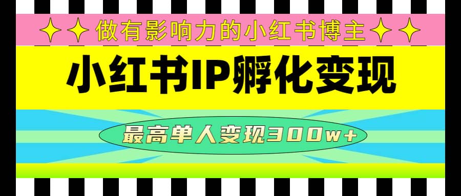 某收费培训-小红书IP孵化变现：做有影响力的小红书博主云创网-网创项目资源站-副业项目-创业项目-搞钱项目云创网