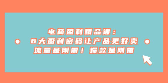 电商 盈利精品课：6大盈利 密码让产品更好卖，流量是刚需！爆款是刚需云创网-网创项目资源站-副业项目-创业项目-搞钱项目云创网