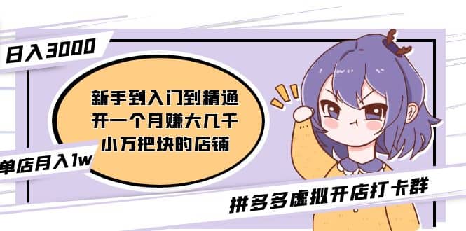 拼多多虚拟开店打卡群：新手到入门到精通云创网-网创项目资源站-副业项目-创业项目-搞钱项目云创网