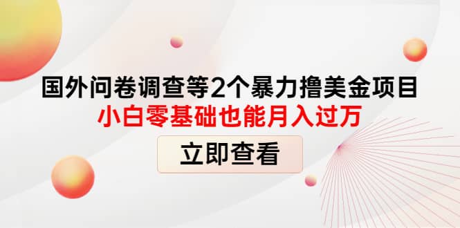 国外问卷调查等2个暴力撸美元项目，小白零基础也能月入过万云创网-网创项目资源站-副业项目-创业项目-搞钱项目云创网