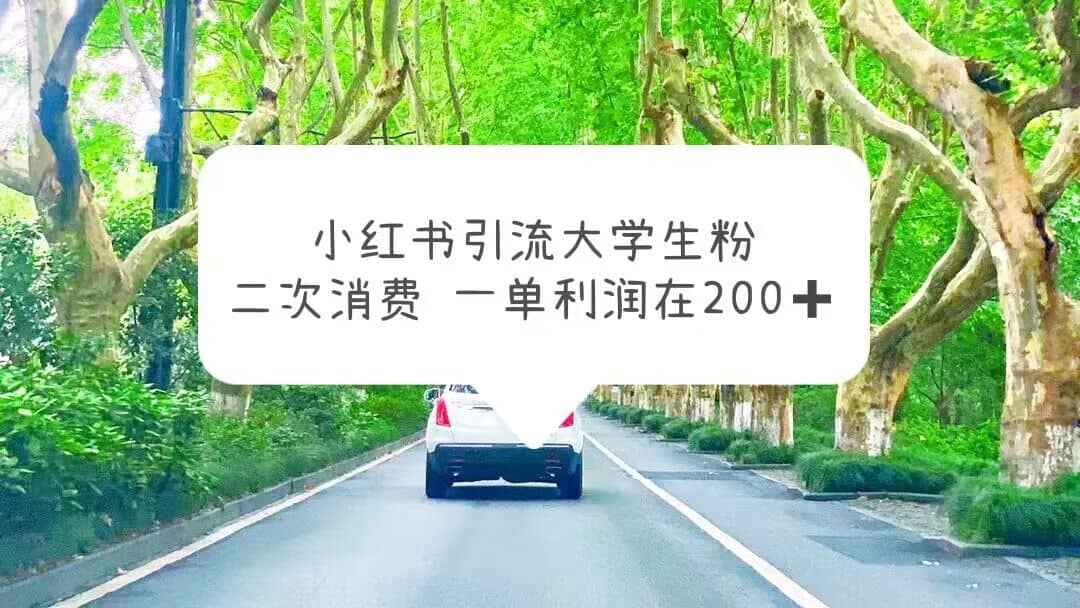 小红书引流大学生粉，变现项目，一单利润在200+（教程+资源）云创网-网创项目资源站-副业项目-创业项目-搞钱项目云创网