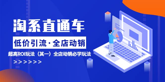 淘系直通车《低价·引流 全店·动销》超高ROI玩法（其一）全店动销必学玩法云创网-网创项目资源站-副业项目-创业项目-搞钱项目云创网
