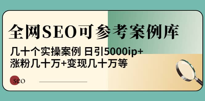 《全网SEO可参考案例库》几十个实操案例云创网-网创项目资源站-副业项目-创业项目-搞钱项目云创网