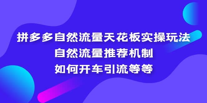 拼多多自然流量天花板实操玩法：自然流量推荐机制，如何开车引流等等云创网-网创项目资源站-副业项目-创业项目-搞钱项目云创网