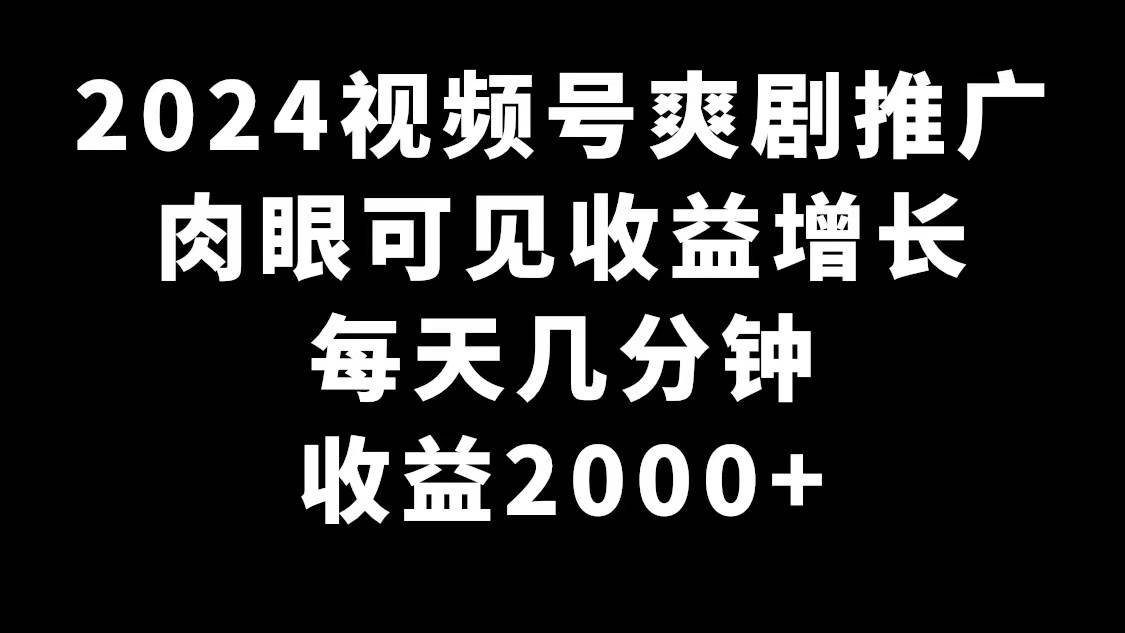 2024视频号爽剧推广，肉眼可见的收益增长，每天几分钟收益2000+云创网-网创项目资源站-副业项目-创业项目-搞钱项目云创网