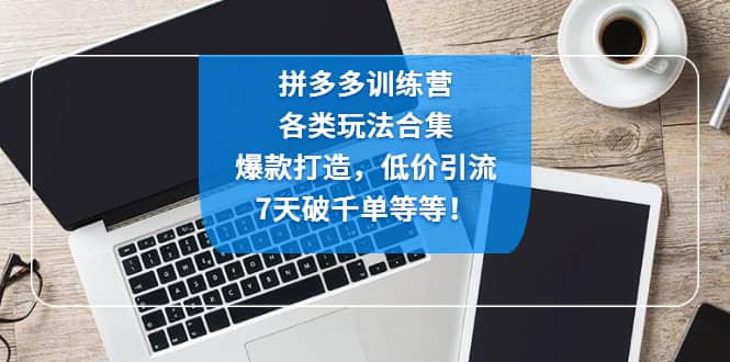 拼多多训练营：各玩法合集，爆款打造，低价引流，7天破千单等等云创网-网创项目资源站-副业项目-创业项目-搞钱项目云创网