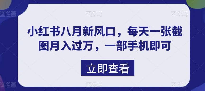 八月新风口，小红书虚拟项目一天收入1000+，实战揭秘云创网-网创项目资源站-副业项目-创业项目-搞钱项目云创网