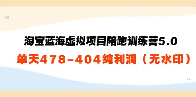 淘宝蓝海虚拟项目陪跑训练营5.0：单天478纯利润（无水印）云创网-网创项目资源站-副业项目-创业项目-搞钱项目云创网