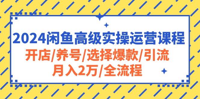 2024闲鱼高级实操运营课程：开店/养号/选择爆款/引流/月入2万/全流程云创网-网创项目资源站-副业项目-创业项目-搞钱项目云创网
