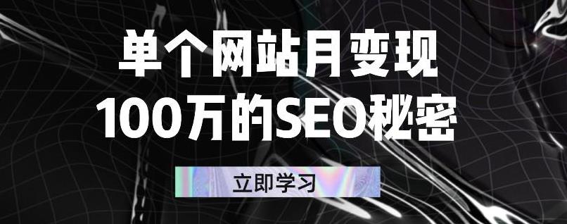 单个网站月变现100万的SEO秘密，百分百做出赚钱站点云创网-网创项目资源站-副业项目-创业项目-搞钱项目云创网