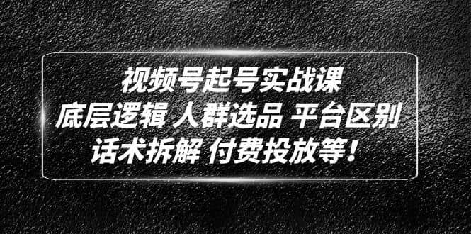视频号起号实战课：底层逻辑 人群选品 平台区别 话术拆解 付费投放等云创网-网创项目资源站-副业项目-创业项目-搞钱项目云创网