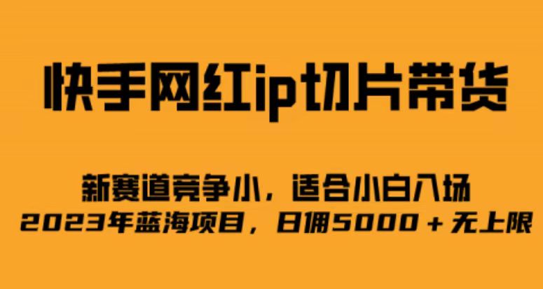 快手网红ip切片新赛道，竞争小事，适合小白 2023蓝海项目云创网-网创项目资源站-副业项目-创业项目-搞钱项目云创网