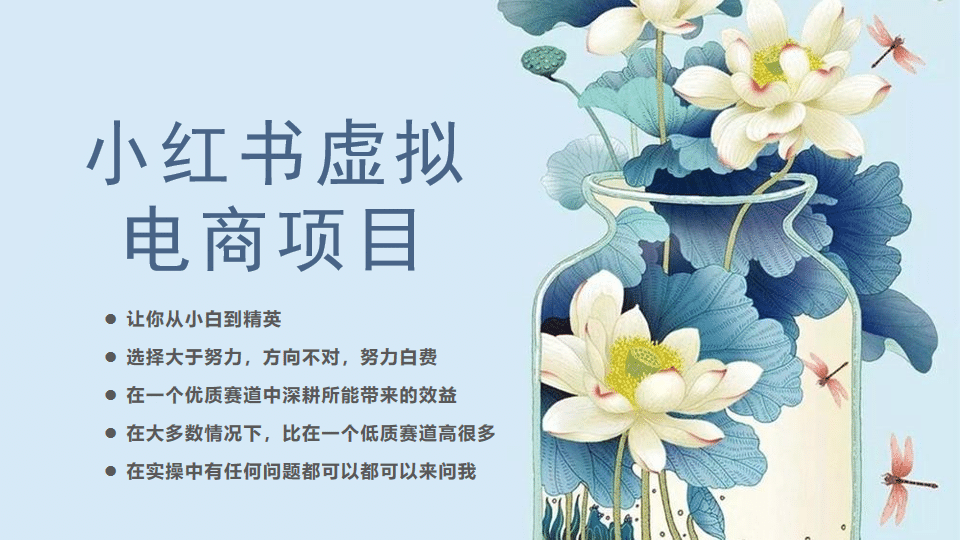 小红书虚拟电商从0到1，让你从小白到精英（20节实操课程）云创网-网创项目资源站-副业项目-创业项目-搞钱项目云创网