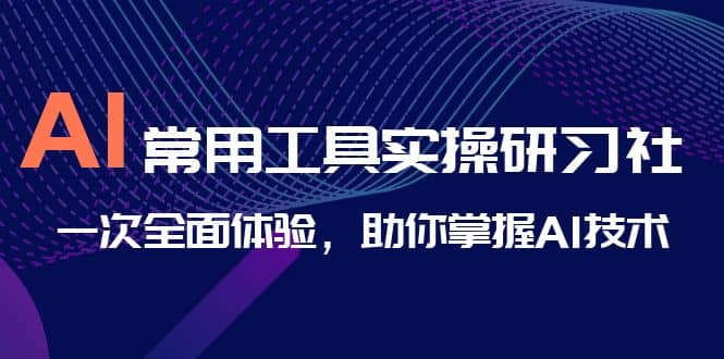 AI-常用工具实操研习社，一次全面体验，助你掌握AI技术云创网-网创项目资源站-副业项目-创业项目-搞钱项目云创网
