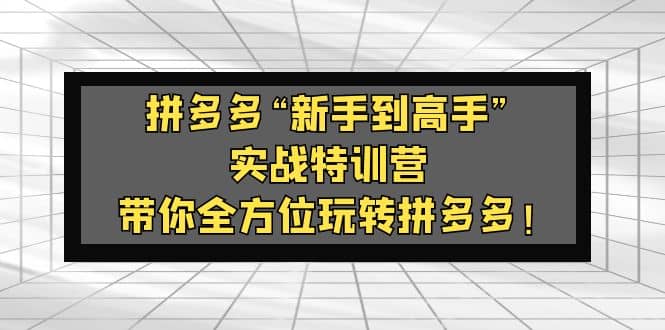 拼多多“新手到高手”实战特训营：带你全方位玩转拼多多云创网-网创项目资源站-副业项目-创业项目-搞钱项目云创网