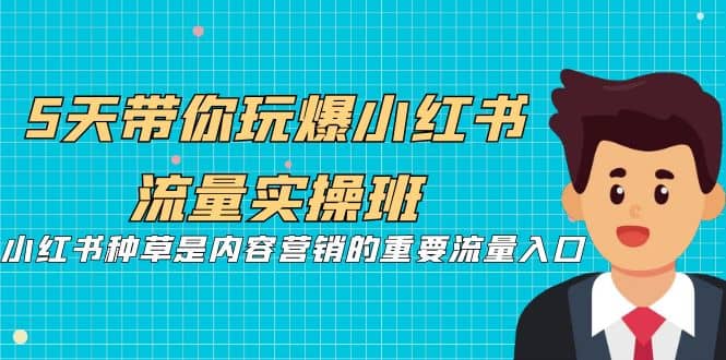 5天带你玩爆小红书流量实操班，小红书种草是内容营销的重要流量入口云创网-网创项目资源站-副业项目-创业项目-搞钱项目云创网