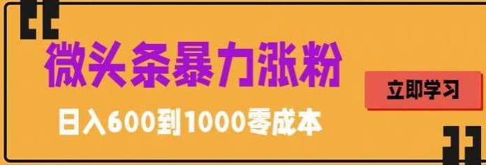 微头条暴力涨粉技巧搬运文案就能涨几万粉丝，简单0成本，日赚600云创网-网创项目资源站-副业项目-创业项目-搞钱项目云创网