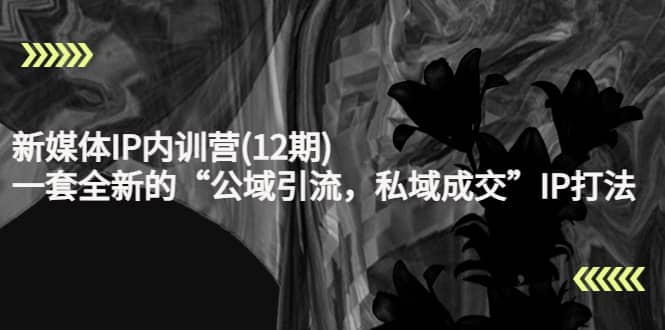 新媒体IP内训营(12期)，一套全新的“公域引流，私域成交”IP打法，直接带走云创网-网创项目资源站-副业项目-创业项目-搞钱项目云创网