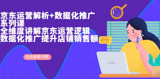 京东运营解析与数据化推广系列课，全维度讲解京东运营逻辑+数据化推广提升店铺销售额云创网-网创项目资源站-副业项目-创业项目-搞钱项目云创网