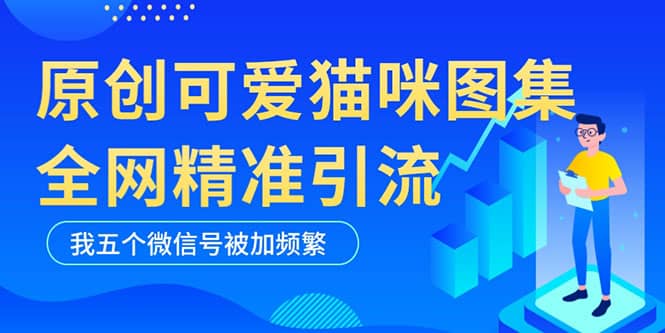 黑科技纯原创可爱猫咪图片，全网精准引流，实操5个VX号被加频繁云创网-网创项目资源站-副业项目-创业项目-搞钱项目云创网