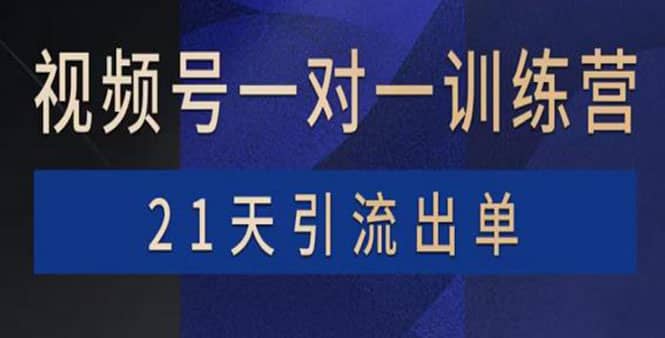 视频号训练营：带货，涨粉，直播，游戏，四大变现新方向，21天引流出单云创网-网创项目资源站-副业项目-创业项目-搞钱项目云创网