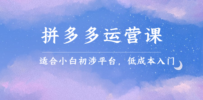 拼多多运营课，适合小白初涉平台，低成本入门云创网-网创项目资源站-副业项目-创业项目-搞钱项目云创网