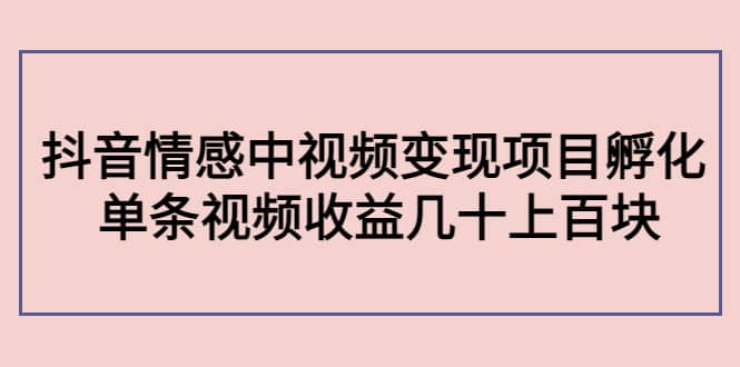 抖音情感中视频变现项目孵化云创网-网创项目资源站-副业项目-创业项目-搞钱项目云创网