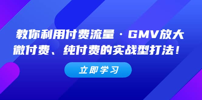 教你利用付费流量·GMV放大，微付费、纯付费的实战型打法云创网-网创项目资源站-副业项目-创业项目-搞钱项目云创网