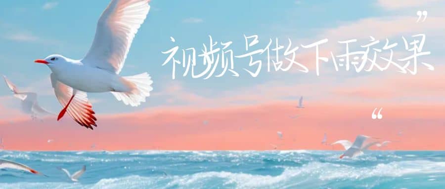 视频号做下雨视频一个账号一周涨粉10W+年入100w云创网-网创项目资源站-副业项目-创业项目-搞钱项目云创网