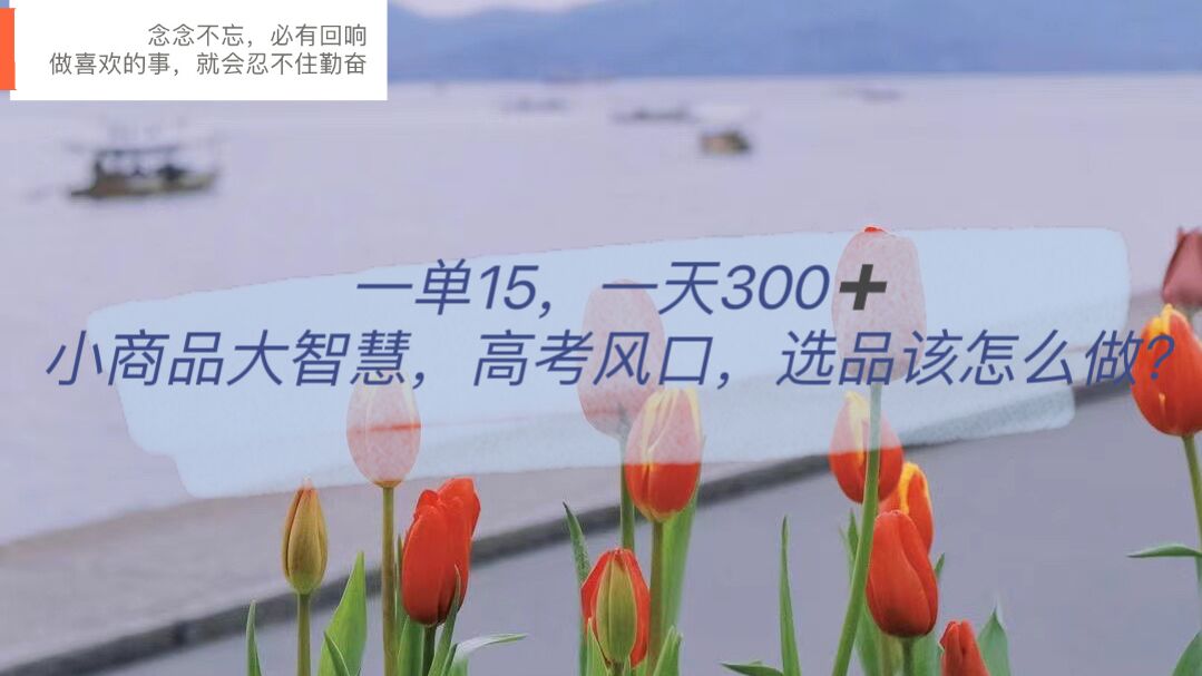 一单15，一天300+，小商品大智慧，高考风口，选品该怎么布局云创网-网创项目资源站-副业项目-创业项目-搞钱项目云创网