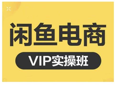 闲鱼电商零基础入门到进阶VIP实战课程，帮助你掌握闲鱼电商所需的各项技能云创网-网创项目资源站-副业项目-创业项目-搞钱项目云创网