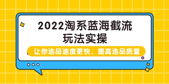 2022淘系蓝海截流玩法实操：让你选品速度更快，提高选品质量（价值599）云创网-网创项目资源站-副业项目-创业项目-搞钱项目云创网