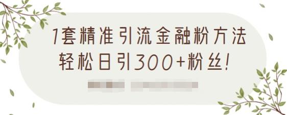 1套精准引流金融粉方法，轻松日引300+粉丝【视频课程】云创网-网创项目资源站-副业项目-创业项目-搞钱项目云创网