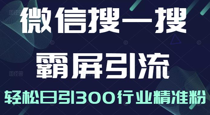 微信搜一搜霸屏引流课，打造被动精准引流系统，轻松日引300行业精准粉【无水印】云创网-网创项目资源站-副业项目-创业项目-搞钱项目云创网